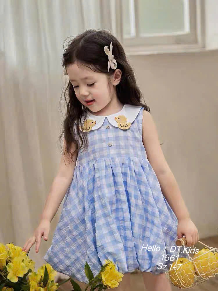 V410-Váy caro vịt thêu dáng bí (09.22kg)