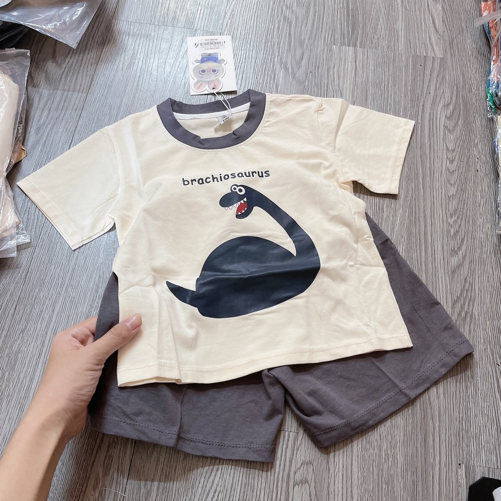 T632-Bộ cotton viền khủng long xám (10.18kg)