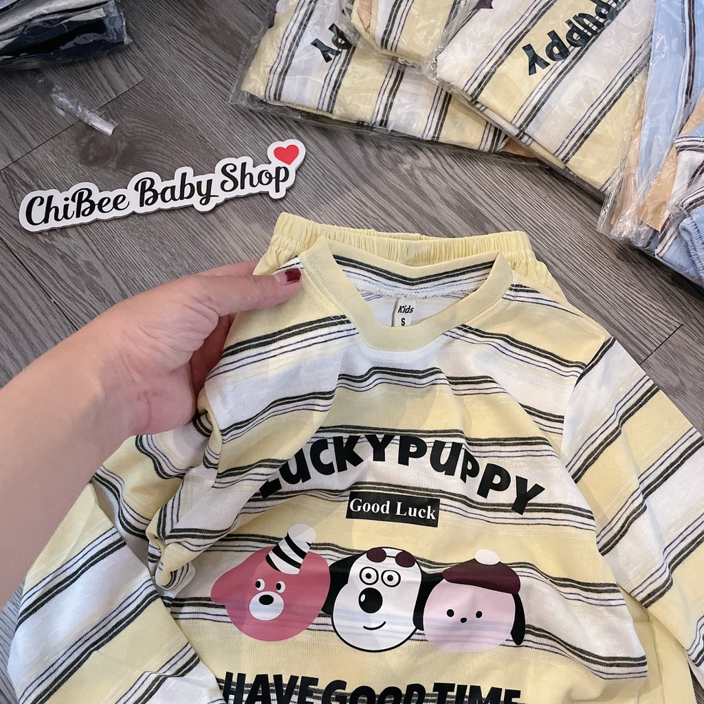 G962-Set giấy kẻ Lucky quần gió (16.23kg)