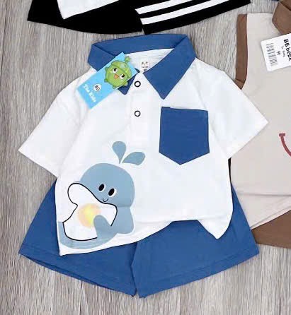 T439-Bộ cotton cổ bẻ cá heo (08.18.250)