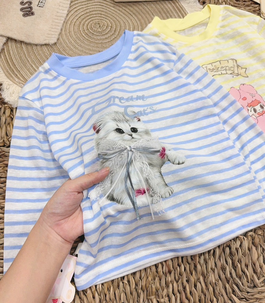 A448-Áo giấy kẻ mèo Kitty (10.22kg)