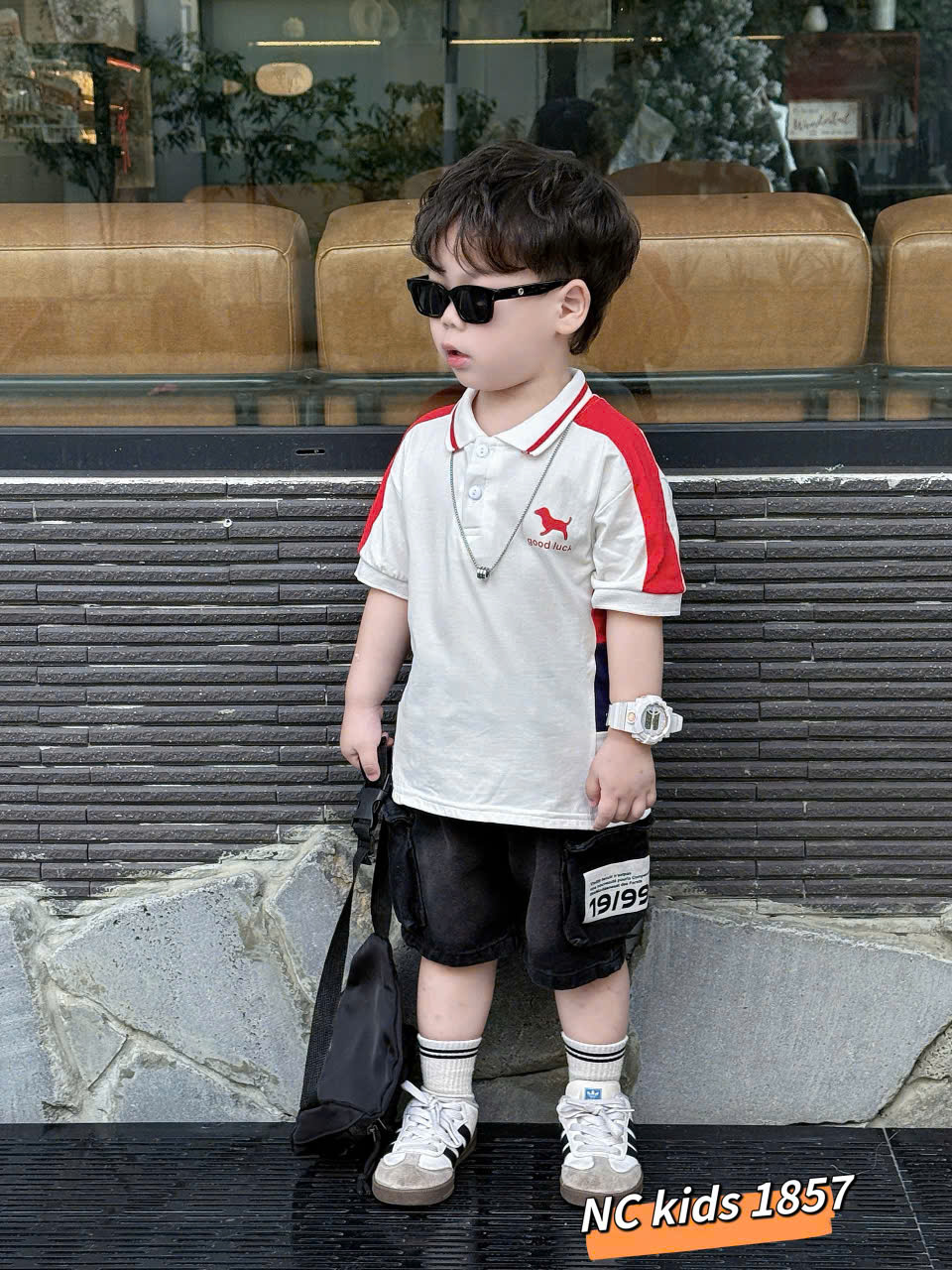 T556-Set áo polo cún phối q jean hộp (09.26kg)