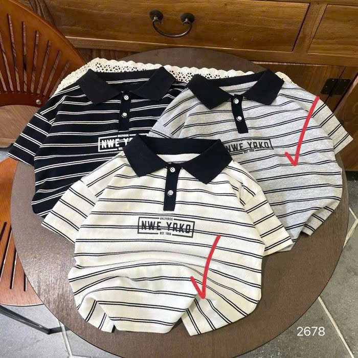 A386-Áo polo QC TXR kẻ NY (10.20kg)