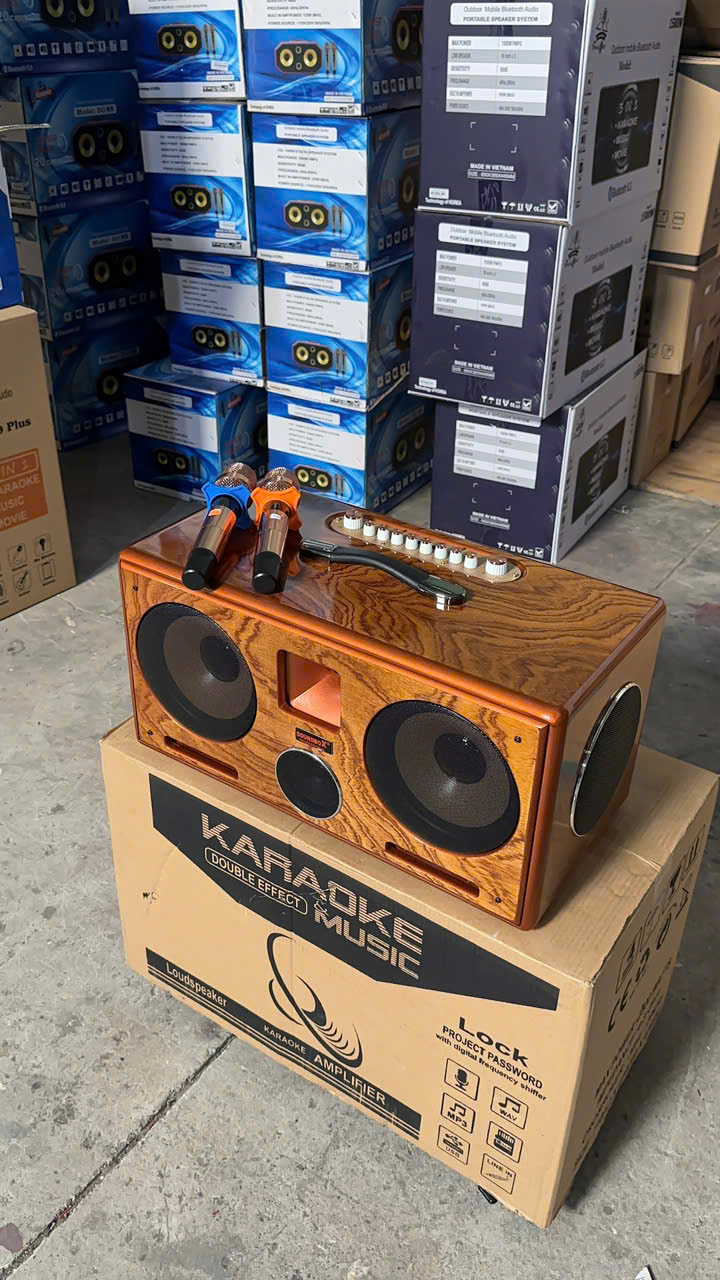 Loa Xách Tay Soundbox 8018G