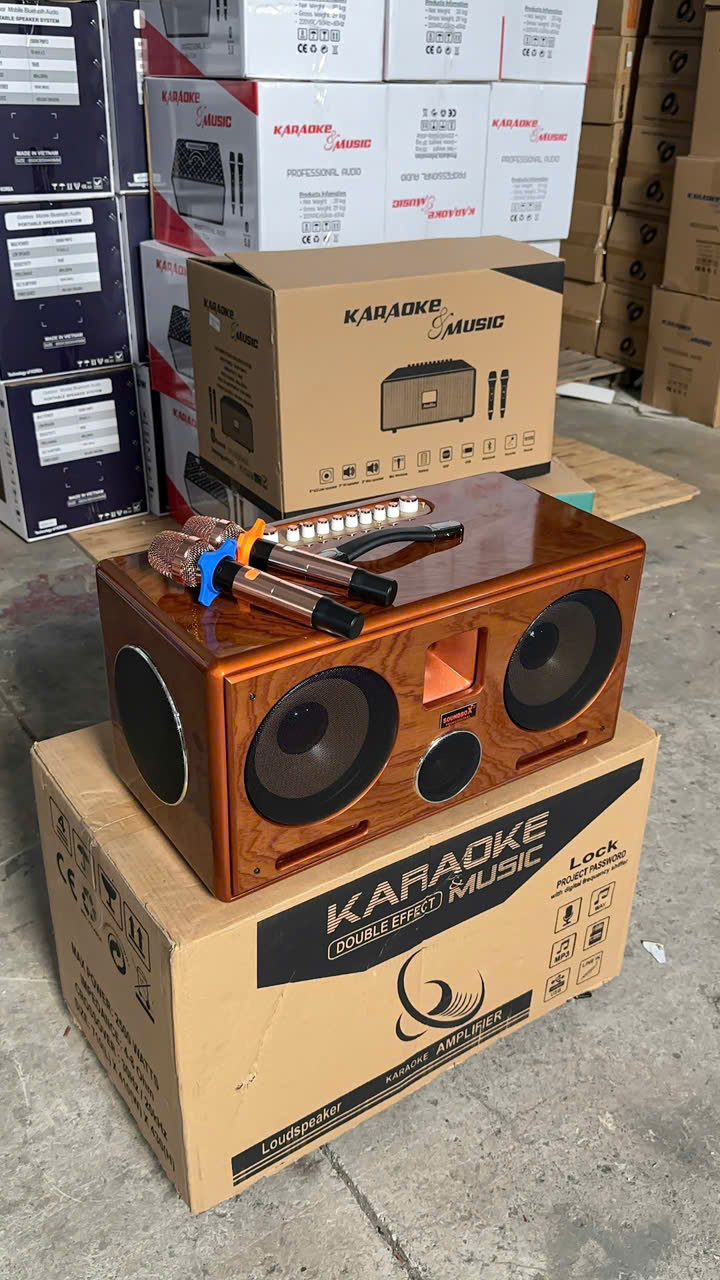 Loa Xách Tay Soundbox 8018G