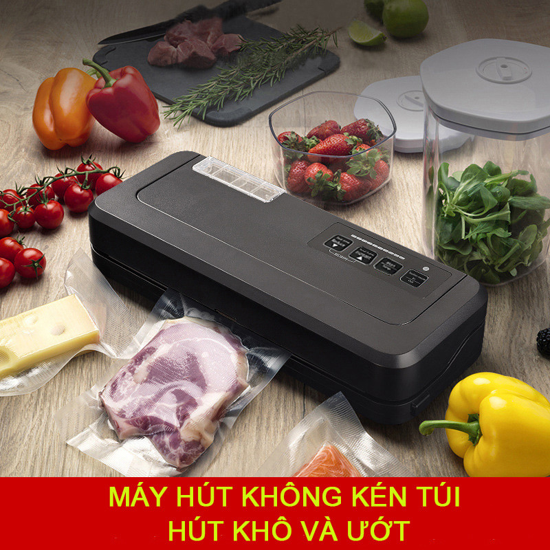 Máy hút chân không P290