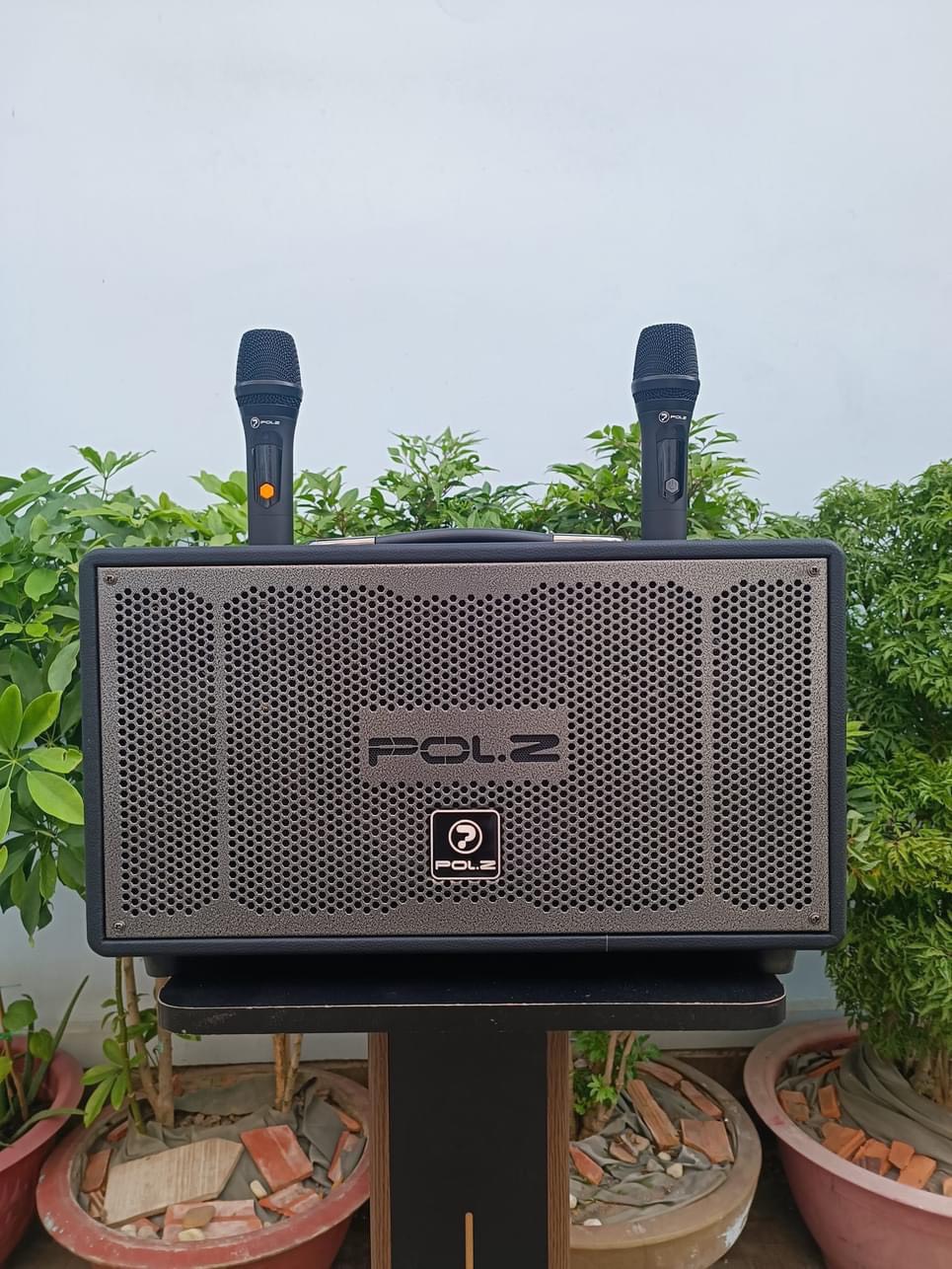 Loa Kéo Di Động Loa Xách Tay POLZ P08