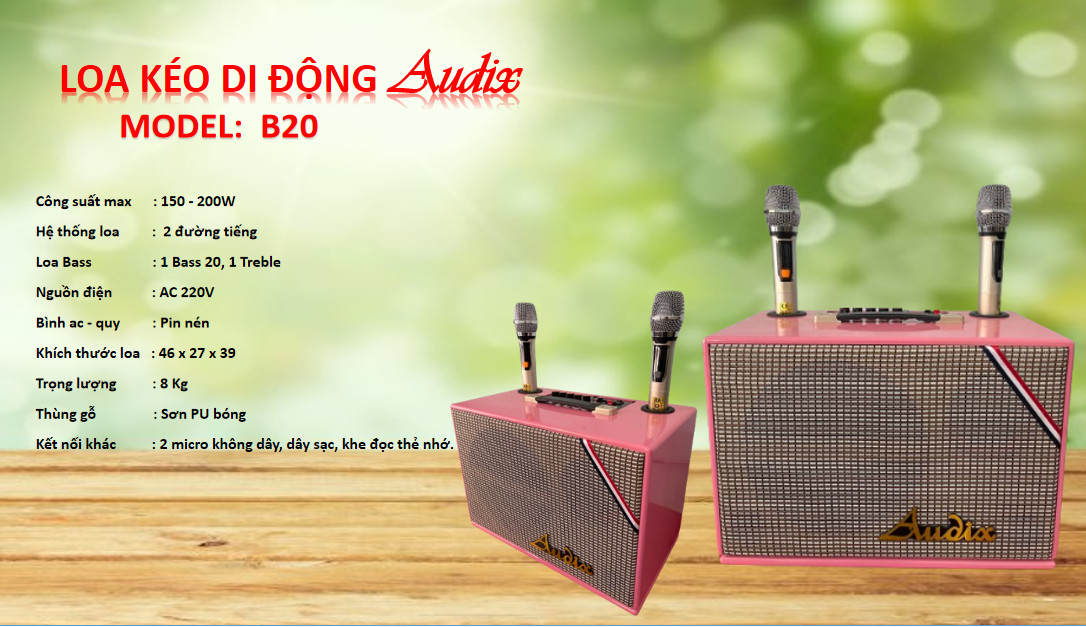 Loa Kéo Xách Tay Di Động Audix B20