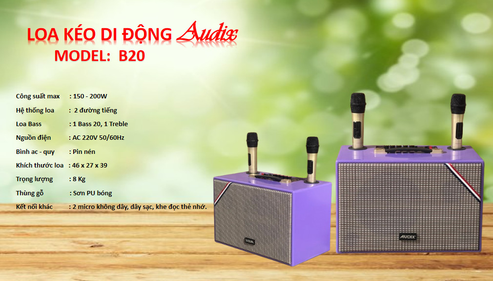 Loa Kéo Xách Tay Di Động Audix B20