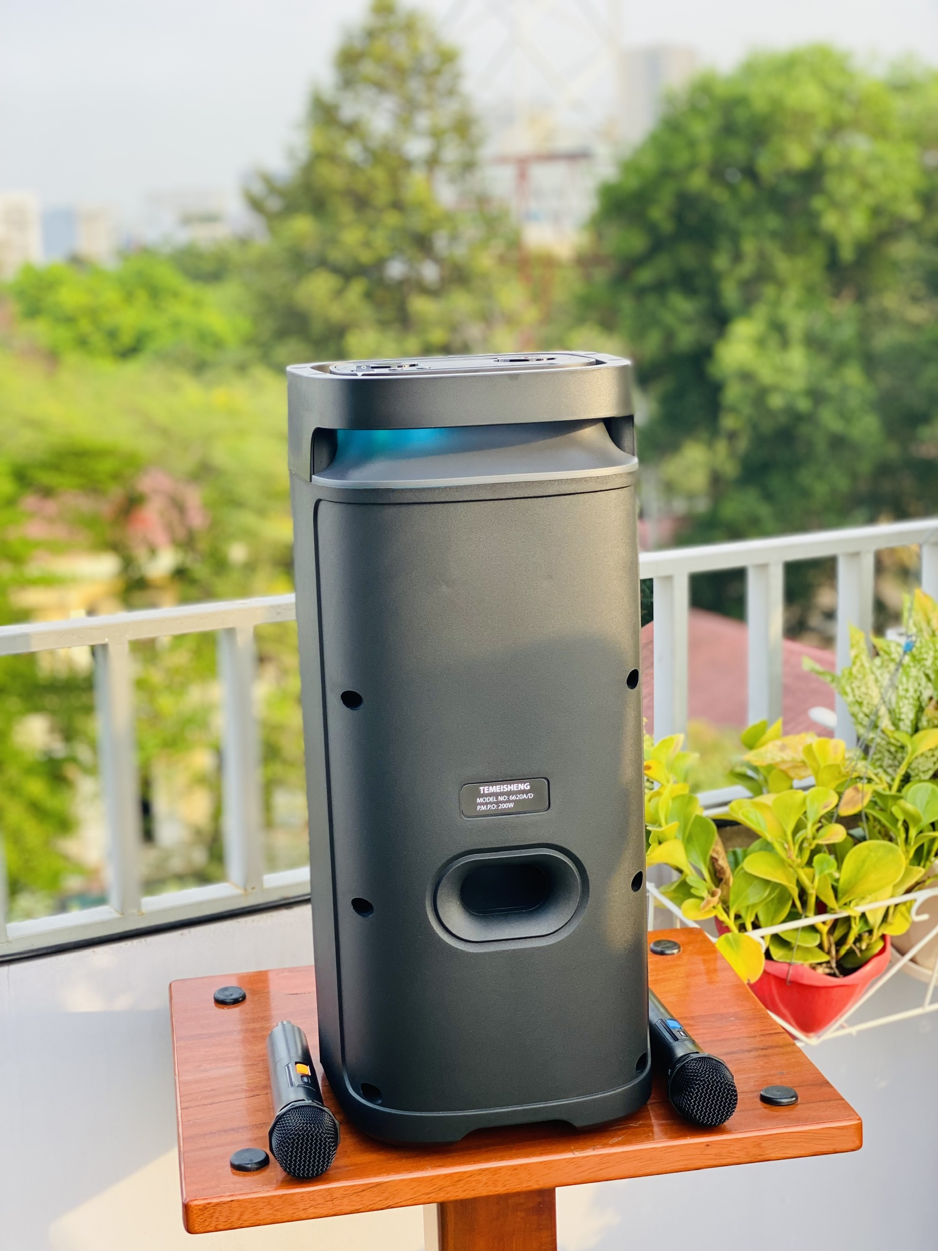 Loa Karaoke Bluetooth Temeisheng 6620D Công Suất 200W Kèm 2 Micro Cao Cấp