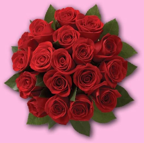 Ý nghĩa hoa hồng trong ngày kỷ niệm, ngày lễ tình nhân