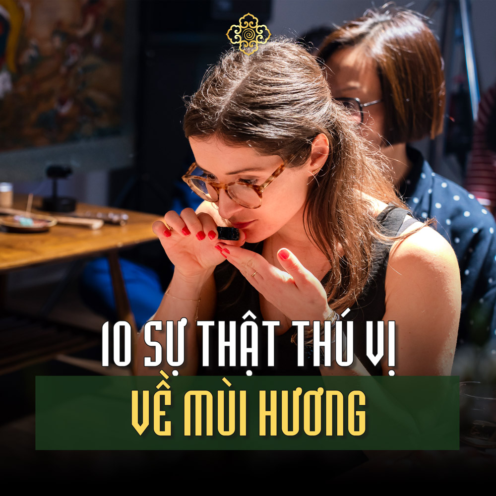 10 Sự Thật Thú Vị Về Mùi Hương Có Thể Bạn Chưa Biết