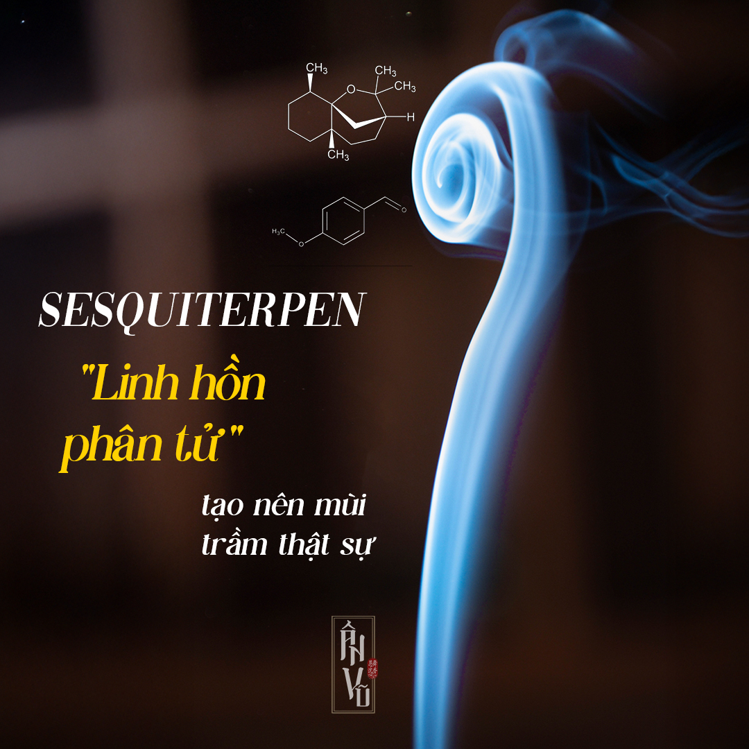 Sự Thật Ẩn Trong Khói Trầm - Linh Hồn Tạo Nên Mùi Trầm Thật Sự