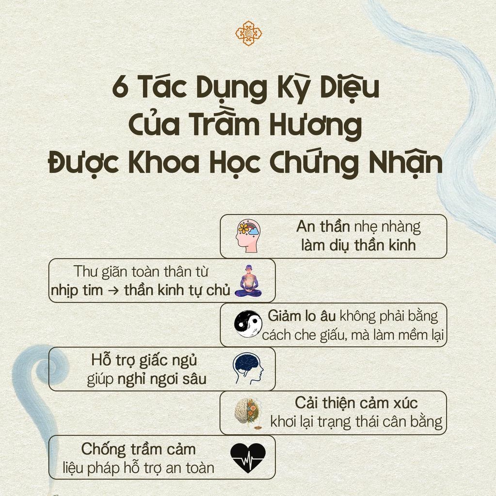 6 Tác Dụng Kỳ Diệu Của Trầm Hương Được Khoa Học Chứng Minh: Từ Cảm Xúc Tới Thần Kinh