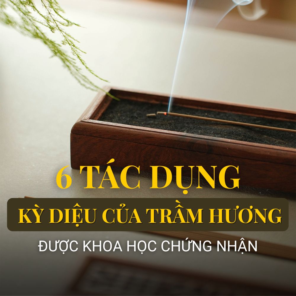 6 Tác Dụng Kỳ Diệu Của Trầm Hương Được Khoa Học Chứng Minh: Từ Cảm Xúc Tới Thần Kinh