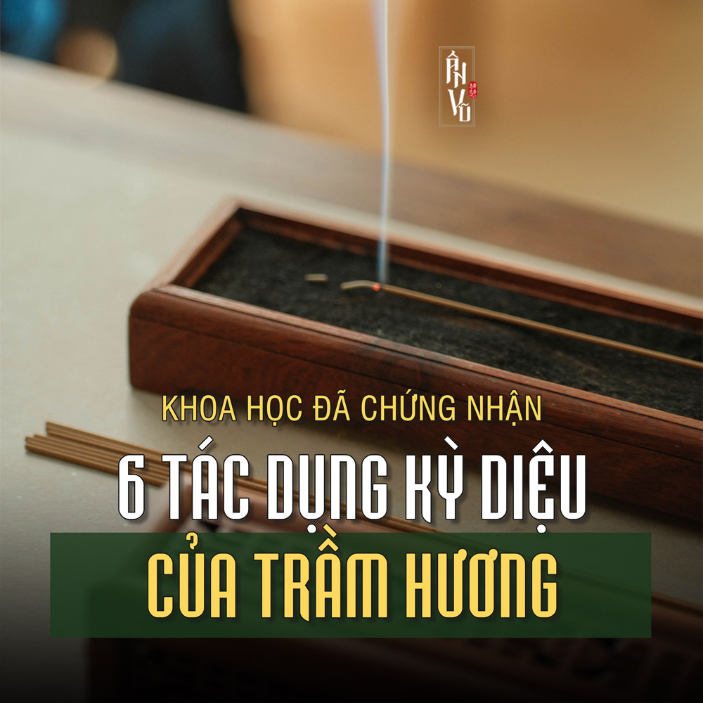 6 Tác Dụng Kỳ Diệu Của Trầm Hương Được Khoa Học Chứng Minh: Từ Cảm Xúc Tới Thần Kinh