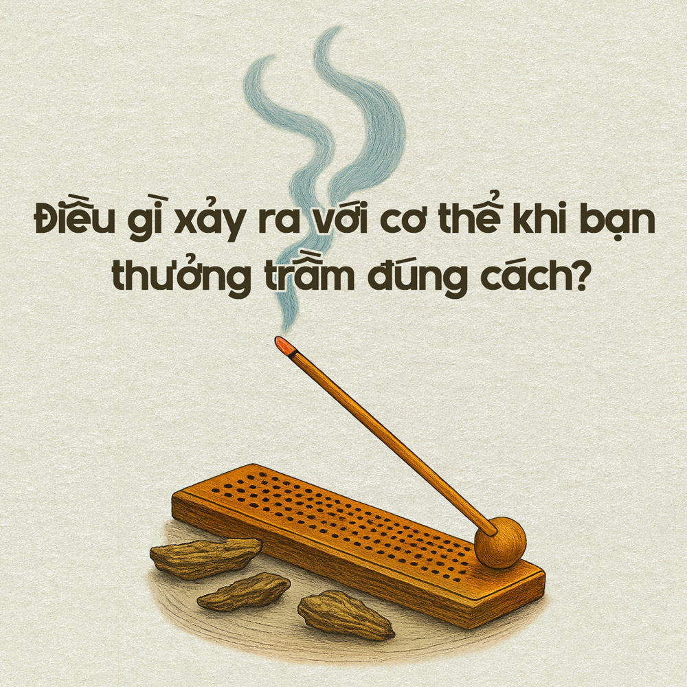 Điều Gì Xảy Ra Với Cơ Thể Khi Bạn Ngửi Mùi Trầm Hương?