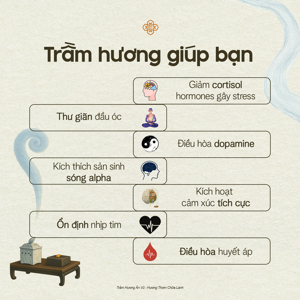 Trầm Hương Có Giúp An Thần Và Ngủ Ngon Không? Giải Mã Cơ Chế Tác Động Đến Hệ GABA Và Não Bộ