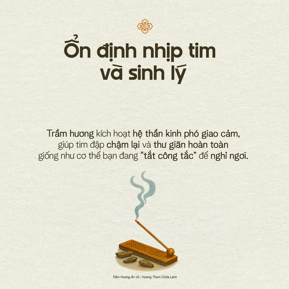 Trầm Hương Và Giấc Ngủ Sâu: Liệu Pháp Tự Nhiên Được Khoa Học Công Nhận