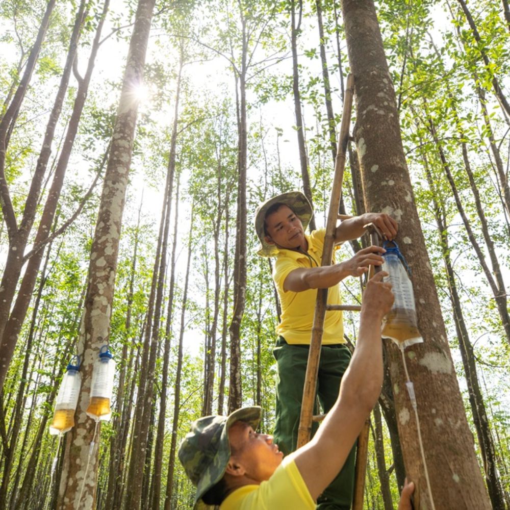 Kỹ thuật tạo trầm nhân tạo