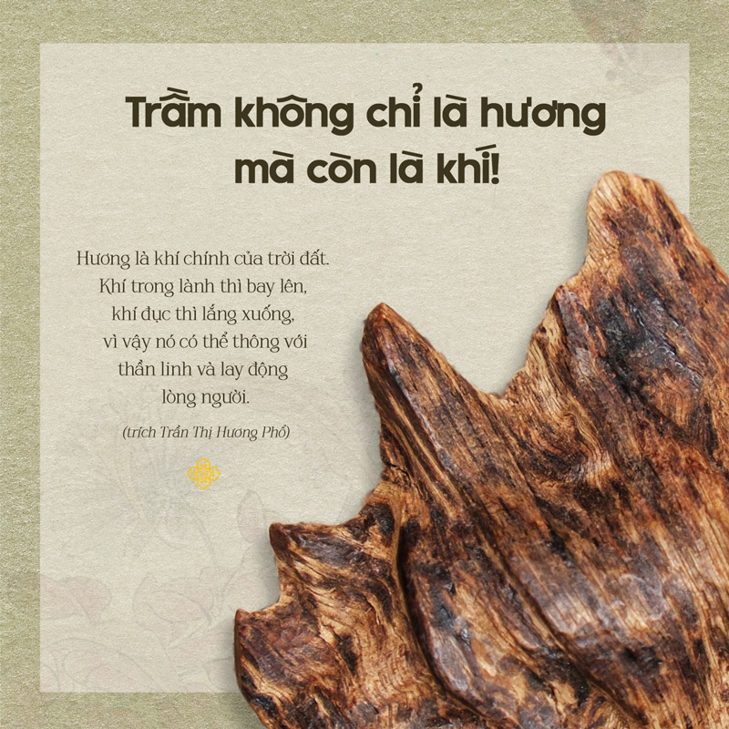 trầm không chỉ là hương mà còn là khí