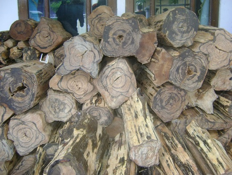 Nguyên liệu trầm hương