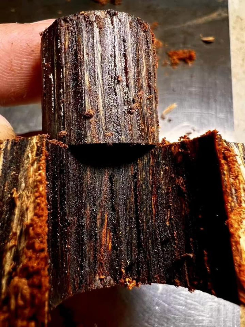 Gỗ trầm nấu dầu