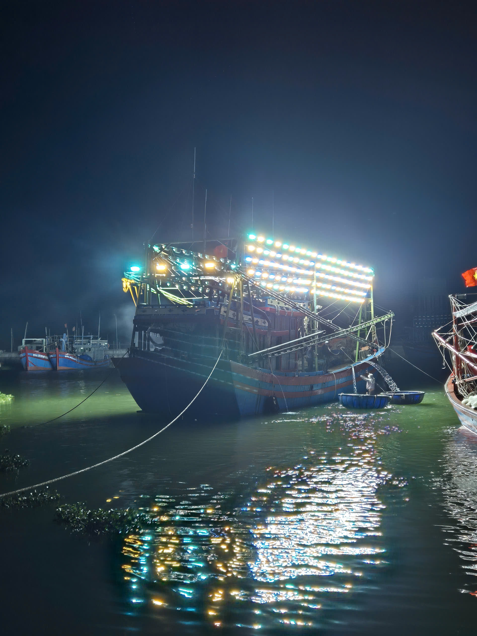 Smarter Light, Better Catch: The 60/40 Advantage