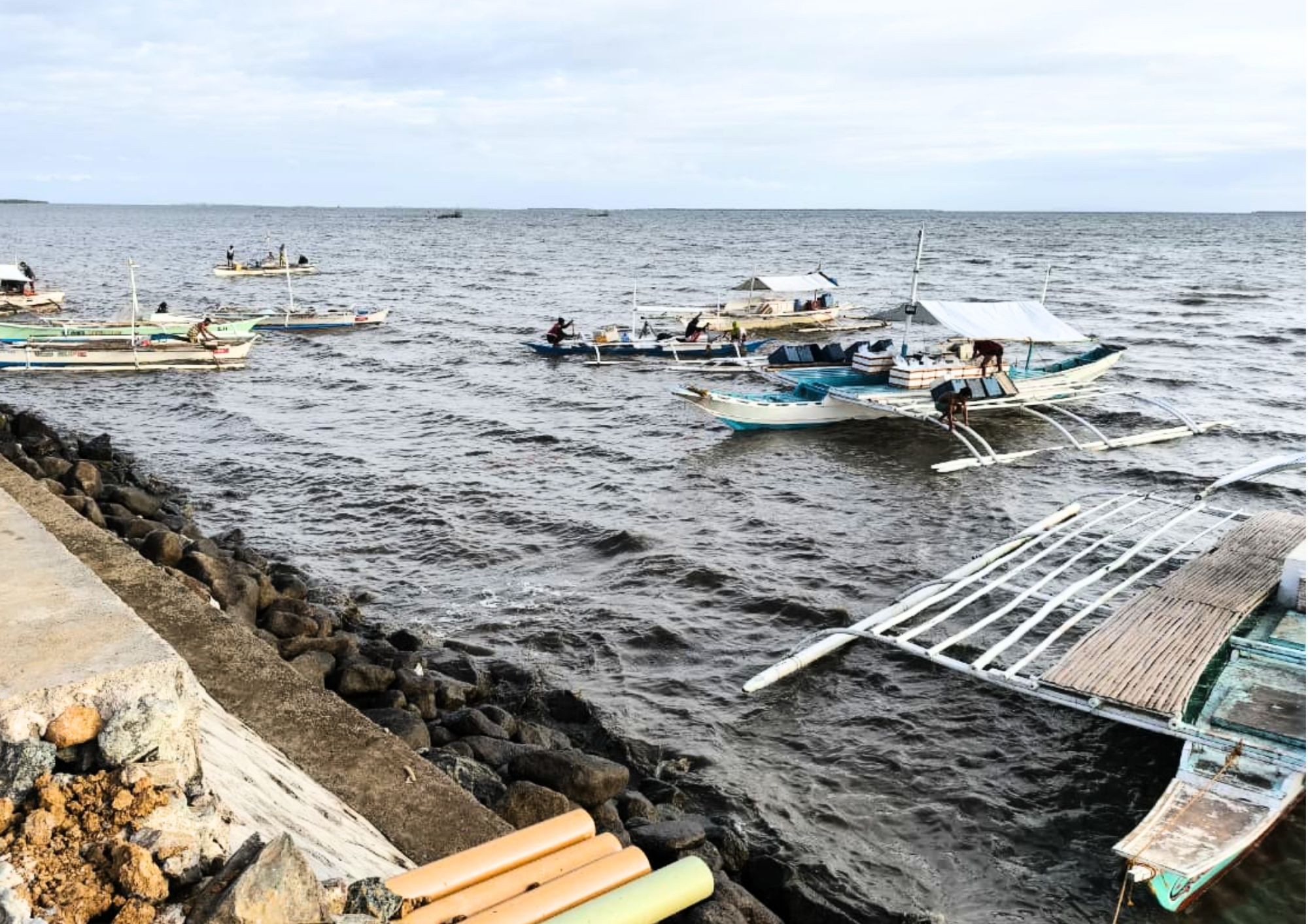 LED 111 Philippines Exploring Growth Opportunities in Bohol Fishing Market