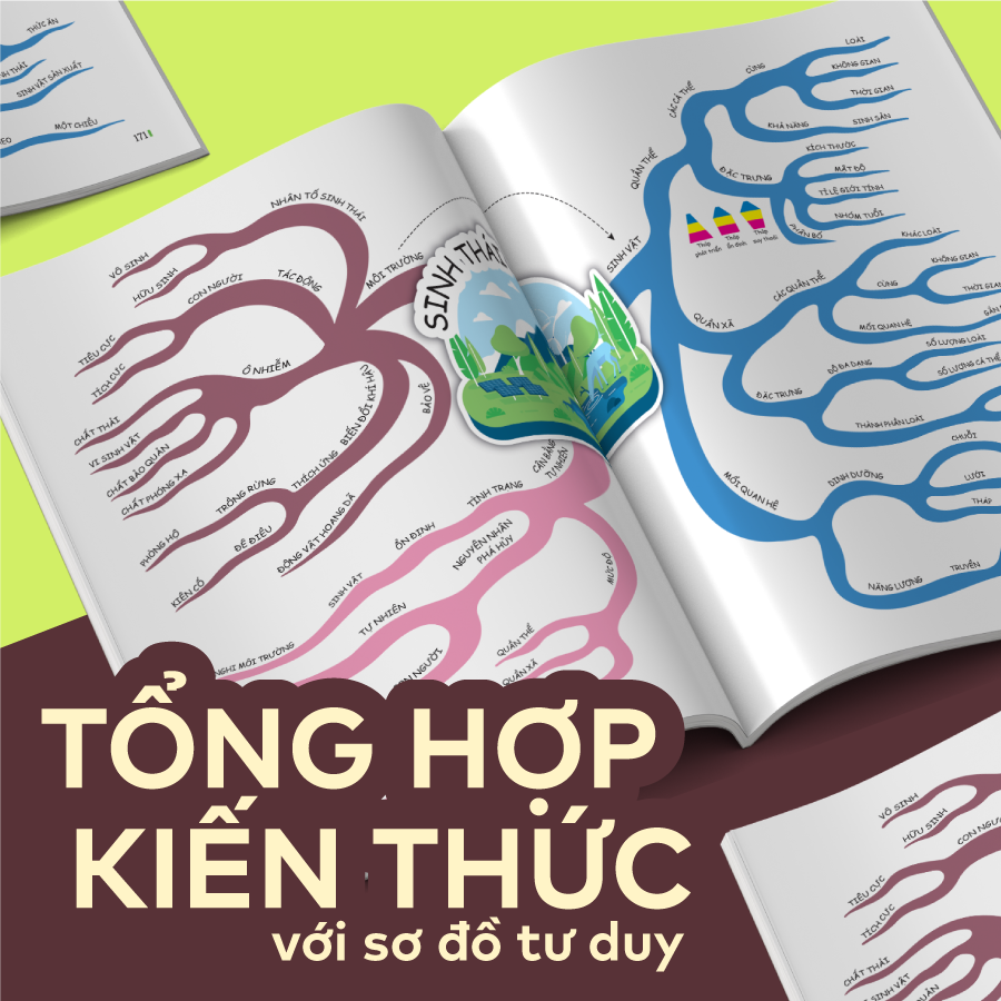 so do tu duy