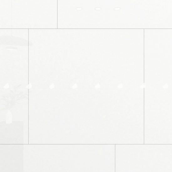 GẠCH PORCELAIN KHÁNG KHUẨN 8080SNOW001-FP-H+