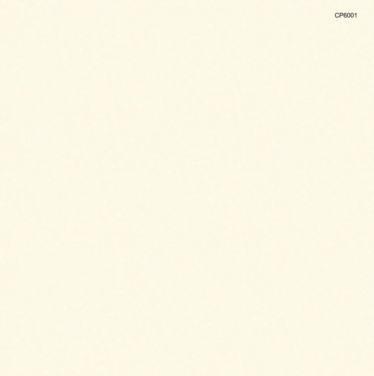 CP6001 Gạch lát sàn