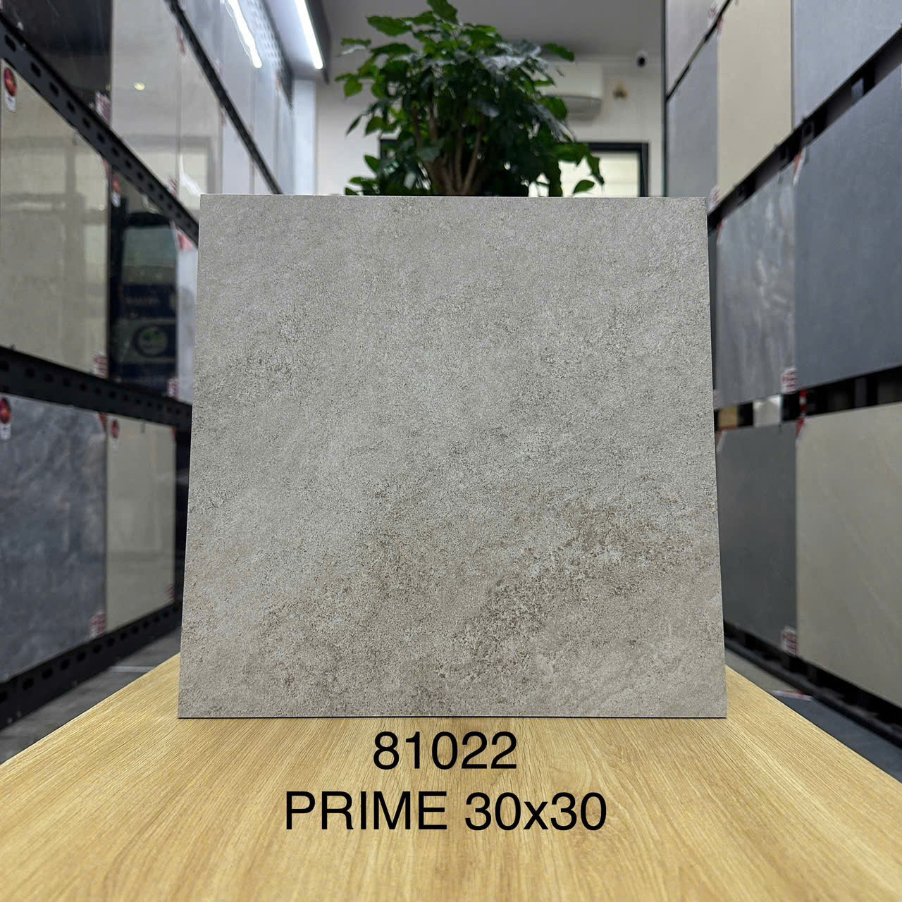 Gạch lát 30x30 Prime 81022