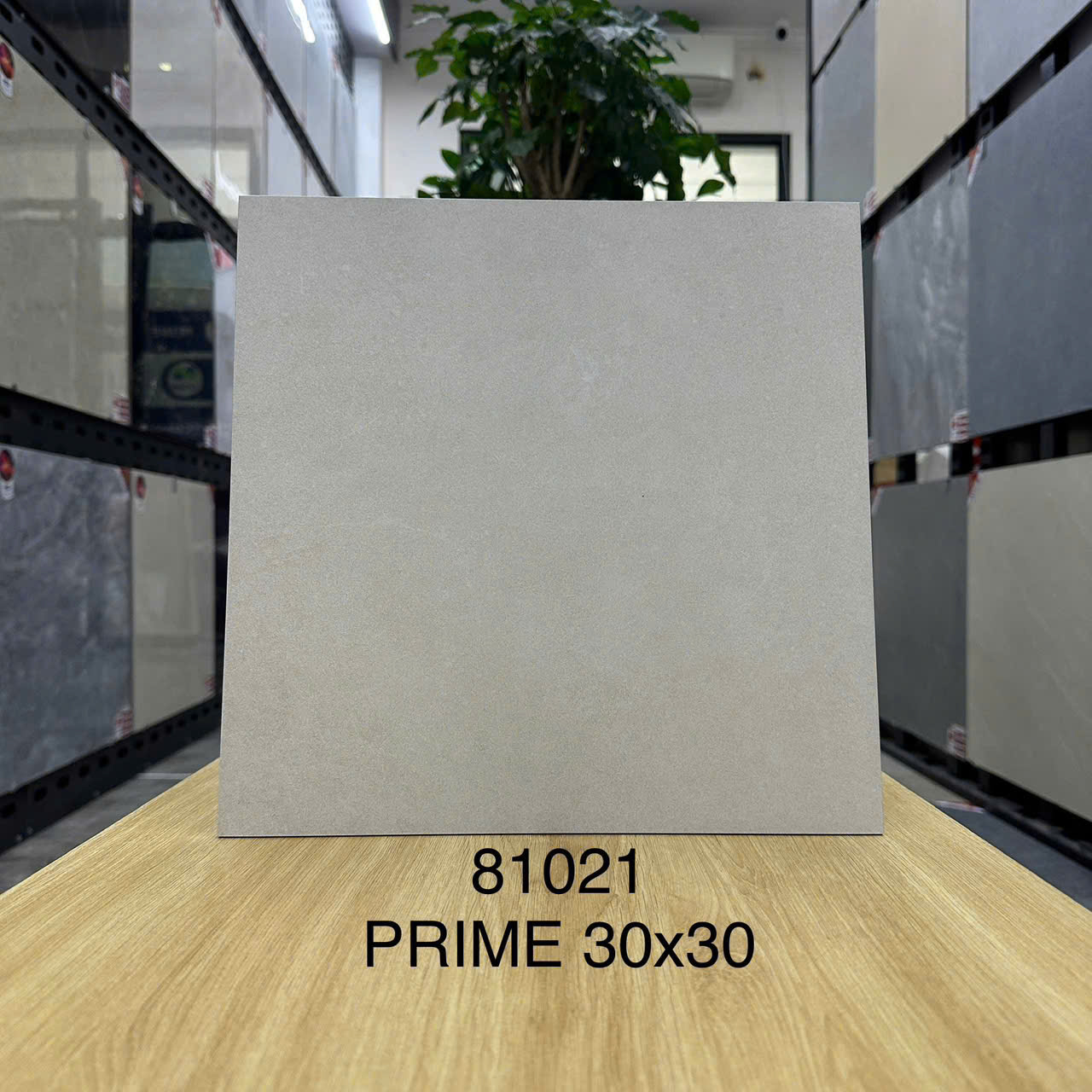 Gạch lát 30x30 Prime 81021