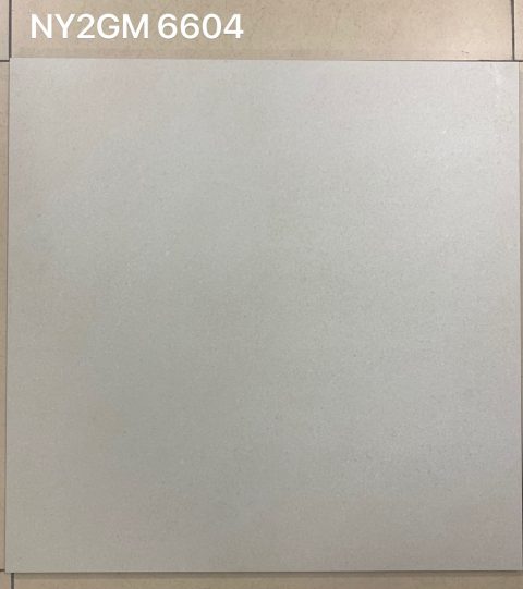Gạch ốp lát Viglacera 60x60 NY2-GM6604