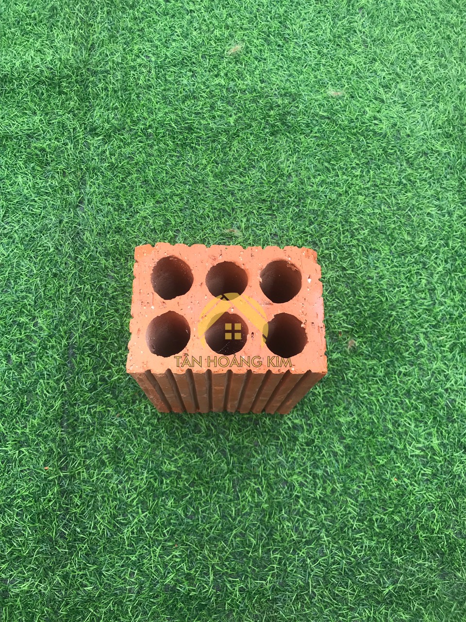 Gạch 6 lỗ tròn Viglacera