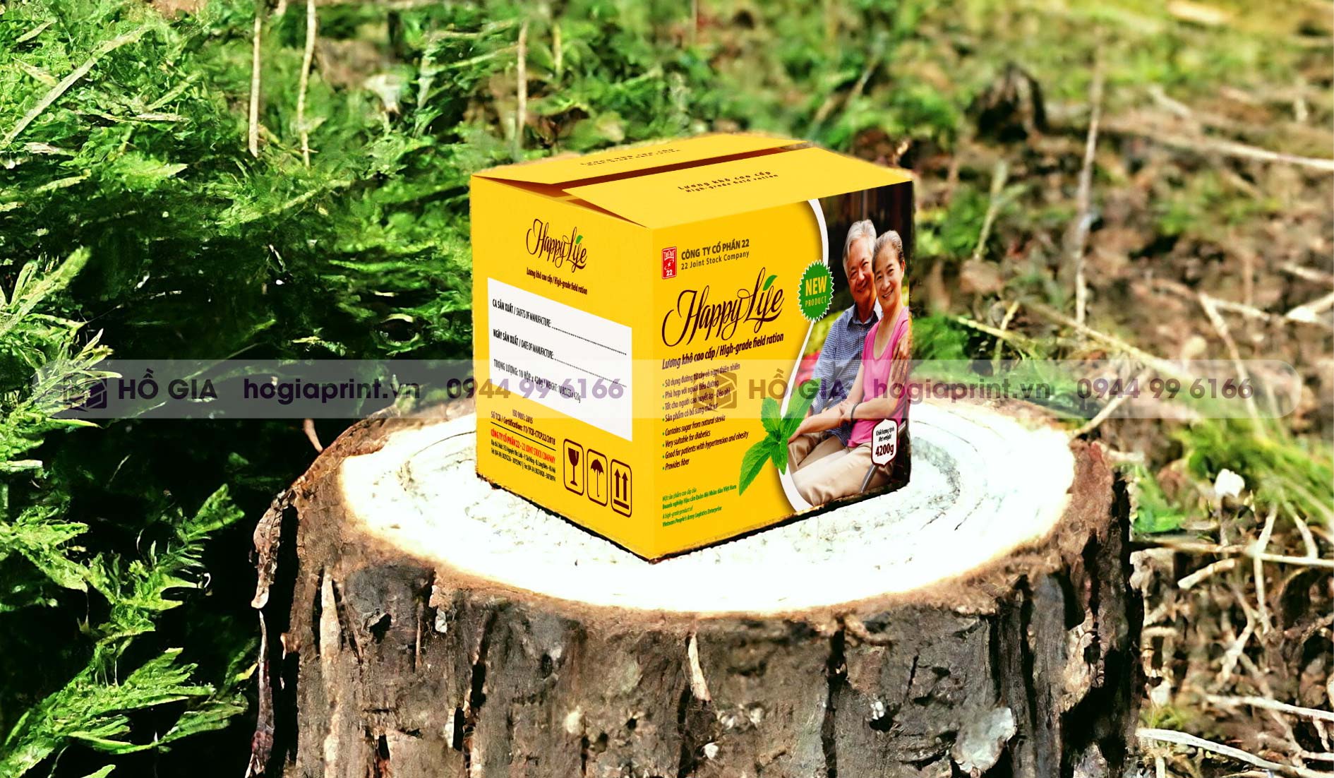 In thùng carton lương khô cao cấp