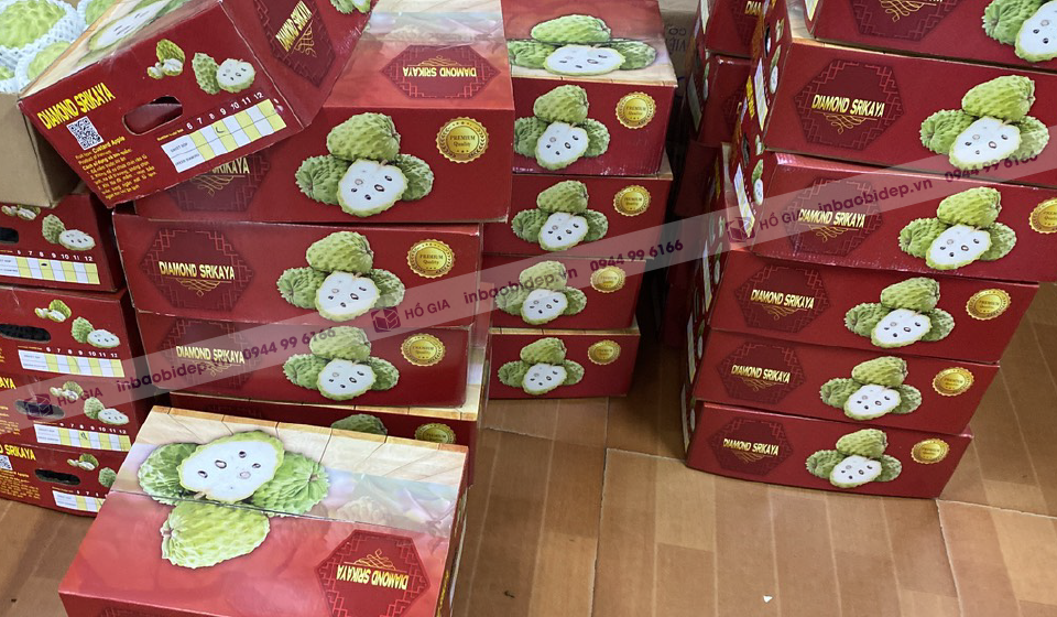 In thùng giấy đựng na cao cấp