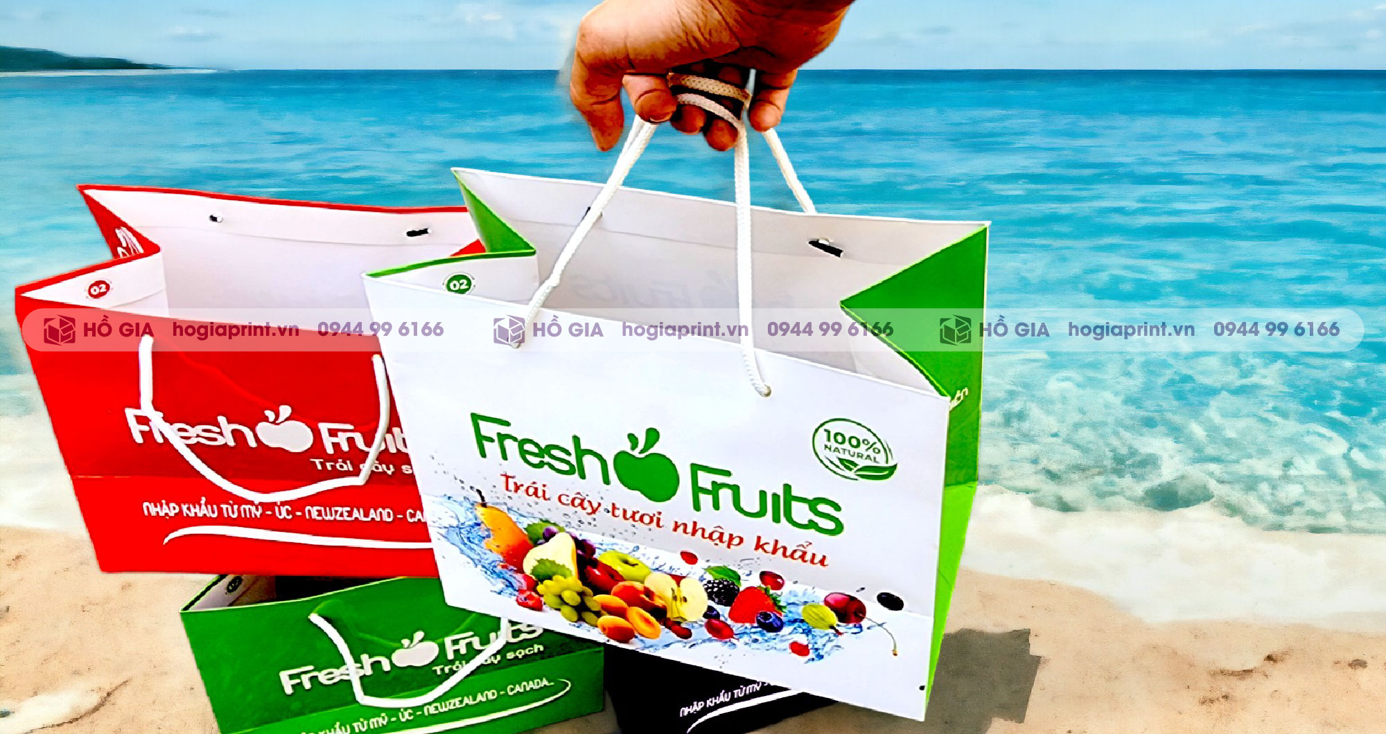 Túi giấy đựng hoa quả cỡ vừa bán sẵn thiết kế đẹp