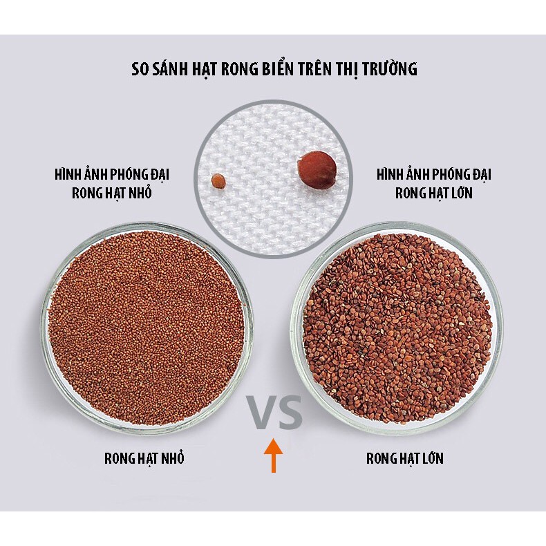 Mặt Nạ Dong Hạt, Ngũ Hoa Hạt Thái Lan - Thẩm Mỹ Huyền Trang NANOCEE