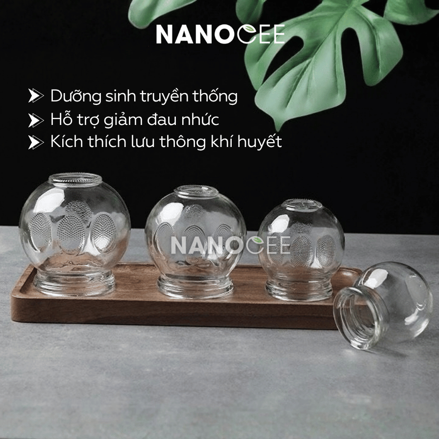Bộ 24 Cốc Giác Hơi Thủy Tinh Dùng Lửa – Đủ 5 Size Cho Spa Dưỡng Sinh