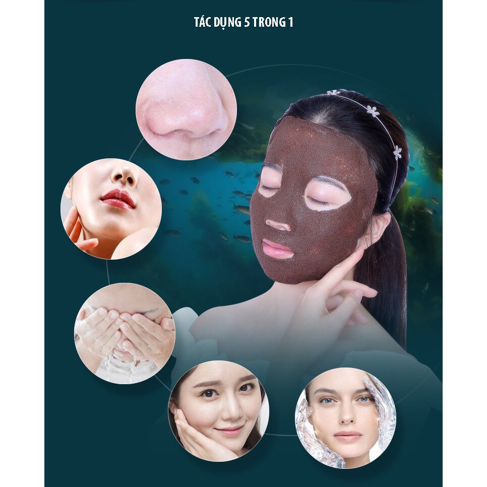 Mặt Nạ Dong Hạt, Ngũ Hoa Hạt Thái Lan - Thẩm Mỹ Huyền Trang NANOCEE