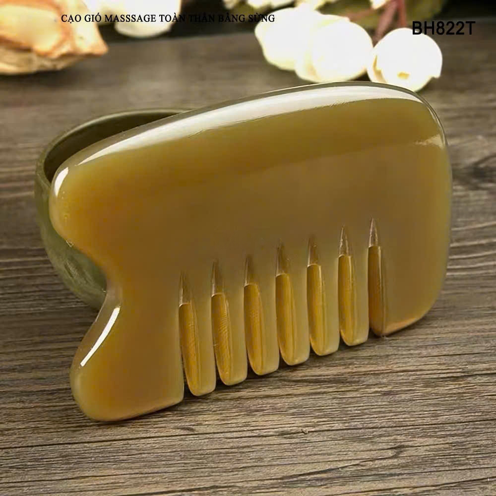 Cạo gió sừng+masssage tóc - đánh gió sừng - MH822
