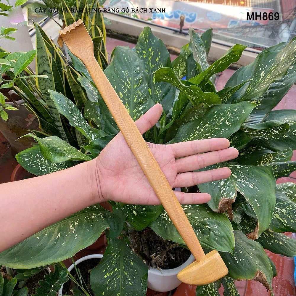 Cây gãi và đấm lưng bằng gỗ MH869