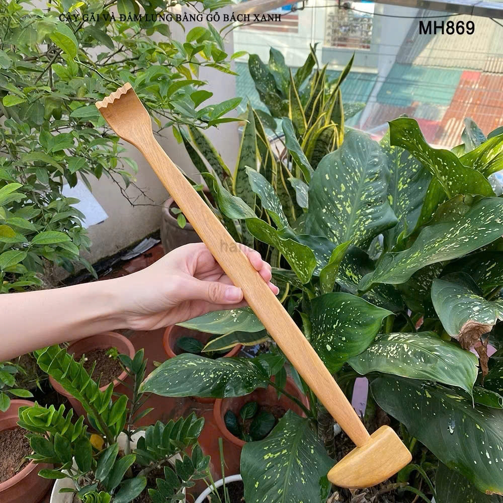 Cây gãi và đấm lưng bằng gỗ MH869