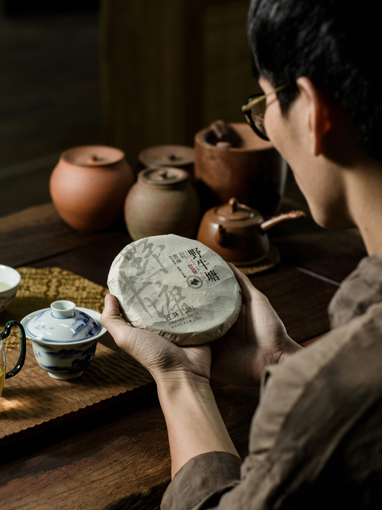 Phổ nhĩ sống Dã Ngưu Đường bánh 200g 2023