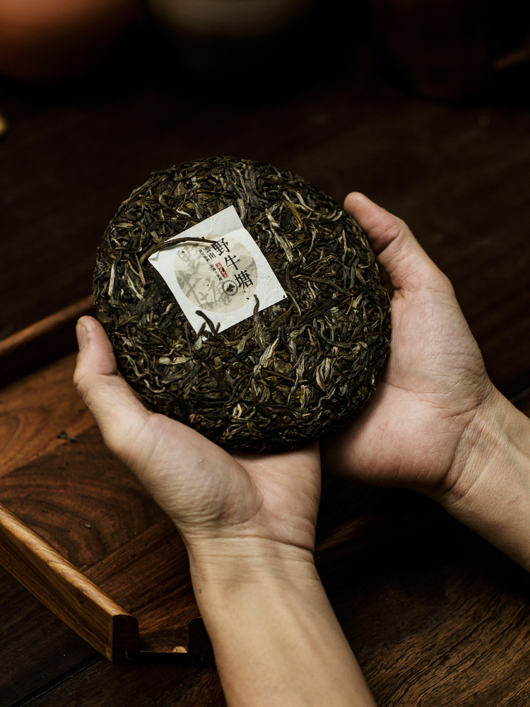 Phổ nhĩ sống Dã Ngưu Đường Bánh 200g 2023