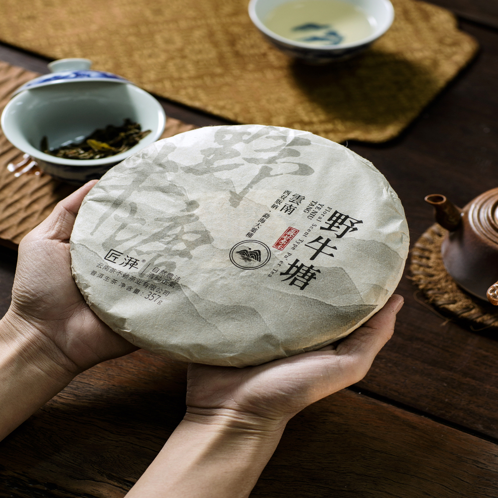 Phổ nhĩ sống Dã Ngưu Đường bánh 357g 2023