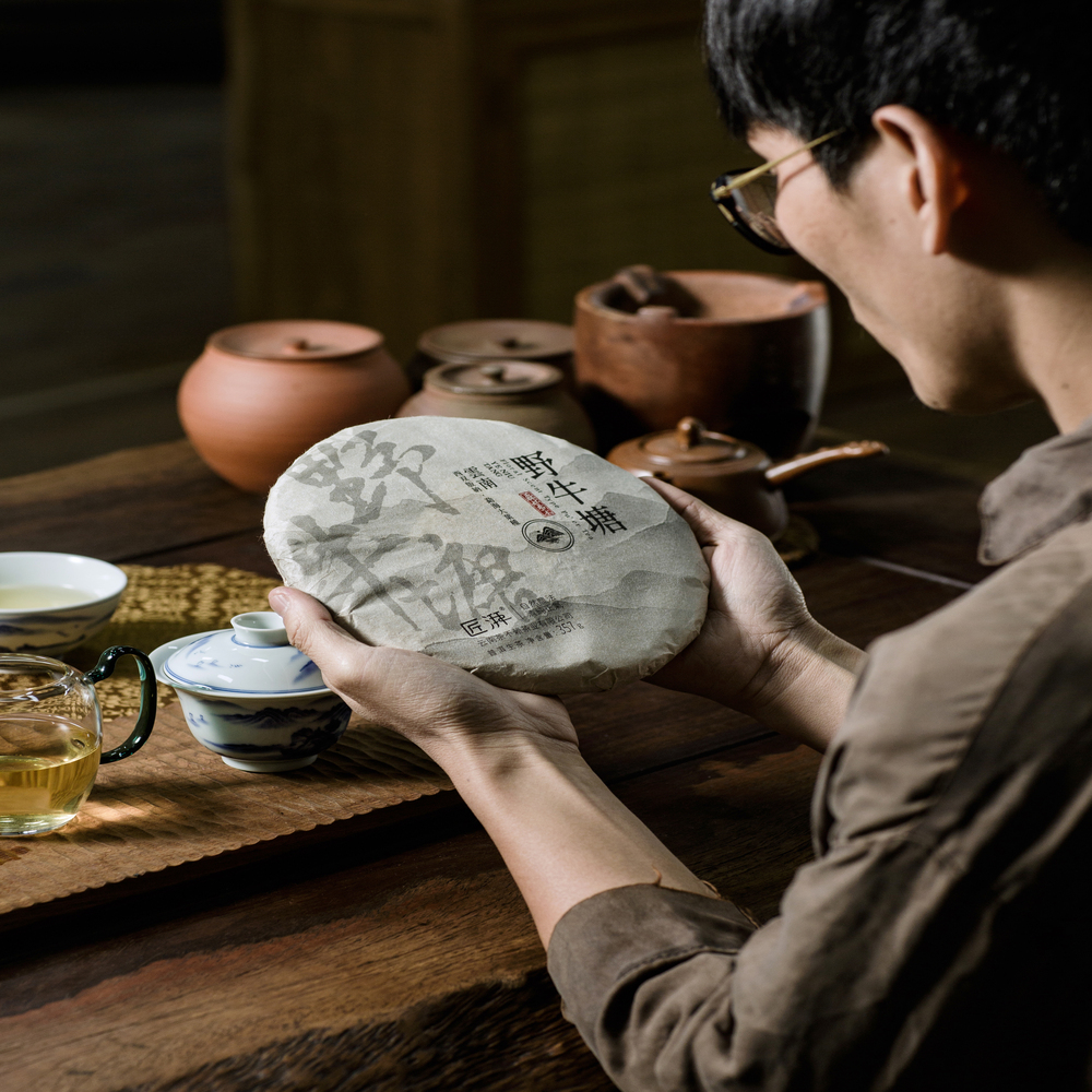 Phổ nhĩ sống Dã Ngưu Đường bánh 357g 2023