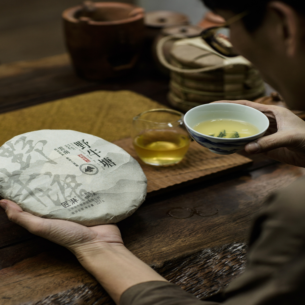 Phổ nhĩ sống Dã Ngưu Đường bánh 357g 2023